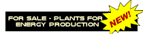 Plant on sale